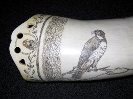 HawkThis was a F&I style horn with a tab for attaching the strap.  As I had done on several horns I cut weeping hearts into the tab and did a vine motif around the base which meets in a cameo at the attachment point.  Inside the cameo is a primitive hawk.  Next to the engraved band is a rendition of a hawk sitting on a branch.