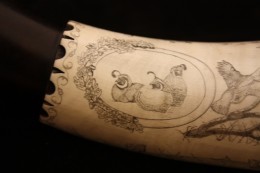 Quail Cameo On the inside curve of the horn I did a scene of quail flying and a cameo of three California Quail.  The cameo is decorated by an oak leaves and acorns design.  Here you also see the engrailing and the engraving just below it.