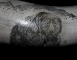 The Grizzly View 3