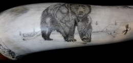 The GrizzlyHere is one view of three of the grizzly bear.